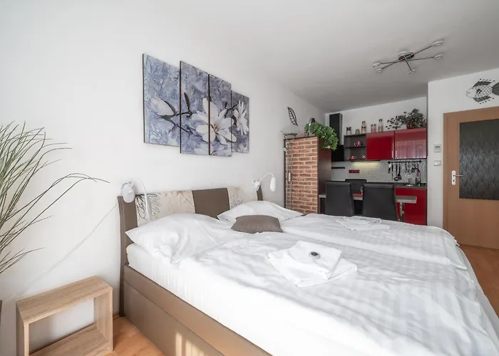 Relax Park I 4* Тршебонь